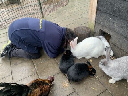 Kinderboerderij erve het wooldrik Marko op de knieën met zijn hood tussen de konijnen